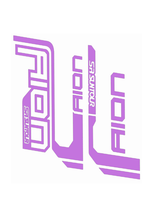 Naklejka na amortyzator Sr Santour Aion