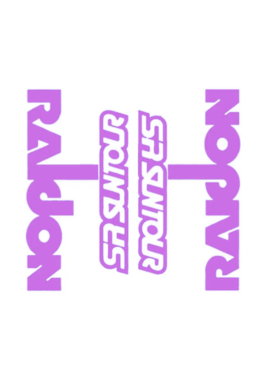 Naklejka na amortyzator Sr Santour Raidon